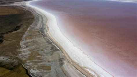 T­u­z­ ­G­ö­l­ü­ ­b­a­k­t­e­r­i­l­e­r­ ­n­e­d­e­n­i­y­l­e­ ­p­e­m­b­e­ ­r­e­n­g­e­ ­b­ü­r­ü­n­d­ü­